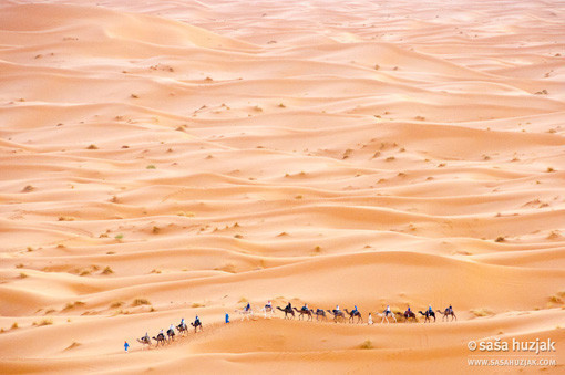 Desert caravan - PPOTY 2012 finalist in a Travel category