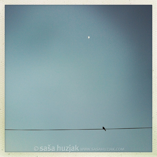 Black Bird / White Moon @ Maribor, Slovenia, 2014 <em>Photo: © Saša Huzjak</em>