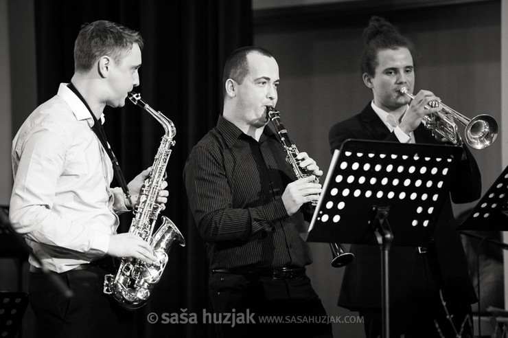 Concert of the music teachers @ Glasbena in baletna šola Antona Martina Slomška, Maribor (Slovenia), 26/03/2013 <em>Photo: © Saša Huzjak</em>
