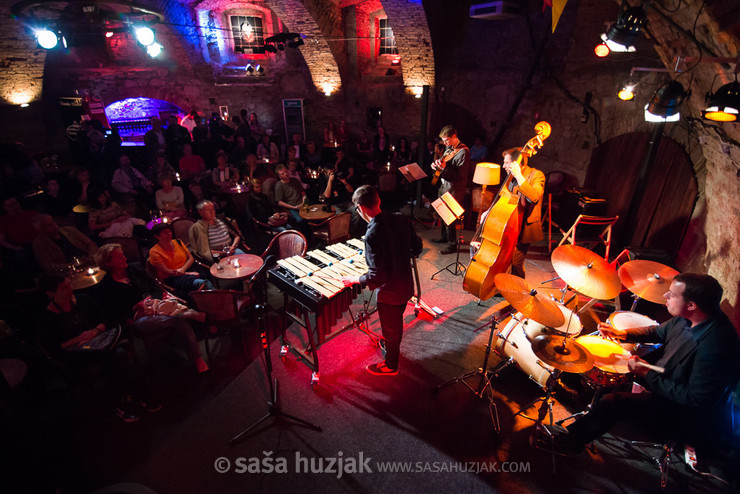 Vid Jamnik Quartet @ Festival Lent, Maribor (Slovenia), 20/06 > 05/07/2014 <em>Photo: © Saša Huzjak</em>