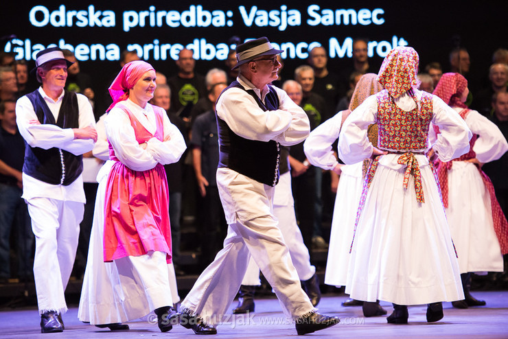 Mosaic of History: 50 years of KUD Študent @ Festival Lent, Maribor (Slovenia), 20/06 > 05/07/2014 <em>Photo: © Saša Huzjak</em>