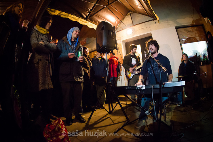 Miki Solus @ Ruše, 28/11/2014 <em>Photo: © Saša Huzjak</em>