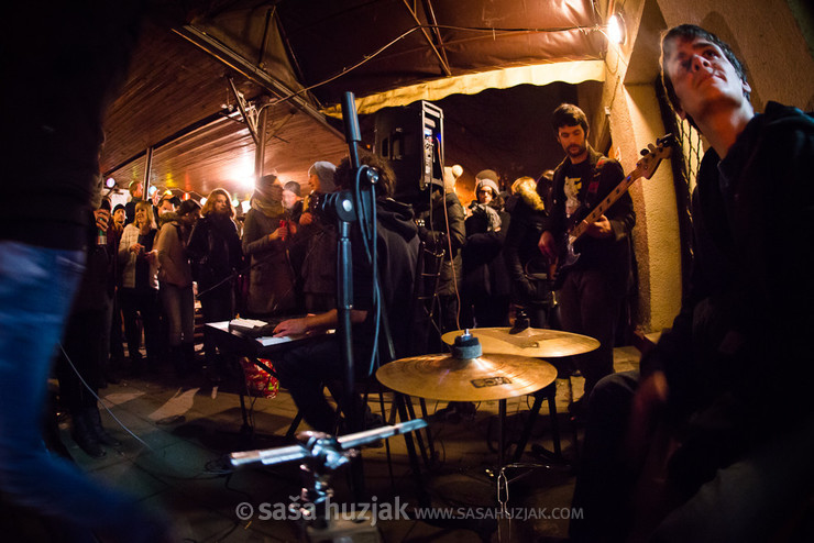 Miki Solus @ Ruše, 28/11/2014 <em>Photo: © Saša Huzjak</em>