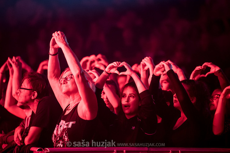 Parni Valjak fans @ Dvorana Mladosti, Rijeka (Croatia), 11/10/2019 <em>Photo: © Saša Huzjak</em>