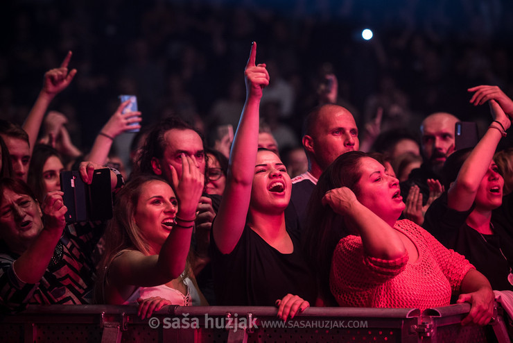 Parni Valjak fans @ Dvorana Mladosti, Rijeka (Croatia), 11/10/2019 <em>Photo: © Saša Huzjak</em>