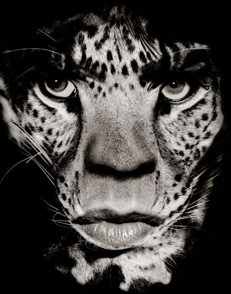 Jagger/Leopard, 1992 © Albert Watson