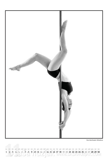 Mojca pole dance calendar 2022 - November <em>Photo: © Saša Huzjak</em>