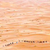 Desert caravan @ Erg Chebbi desert, Morocco, 2010 <em>Photo: © Saša Huzjak</em>