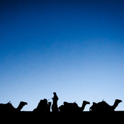 Putting the camels to sleep