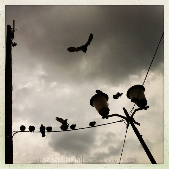 Hipsta moments: Storm approaching (hommage to Hitchcock) @ Maribor, Slovenia, 2014 <em>Photo: © Saša Huzjak</em>