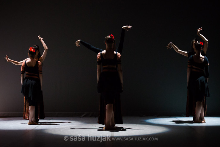 Plesna izba Maribor: Oj ta čudoviti svet! @ SNG Maribor, Maribor (Slovenia), 2014 <em>Photo: © Saša Huzjak</em>