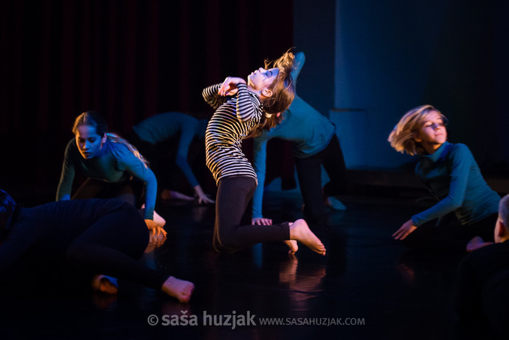 Plesna izba Maribor: Izbin Horrorskop @ Dvorana Union, Maribor (Slovenia), 2016 <em>Photo: © Saša Huzjak</em>