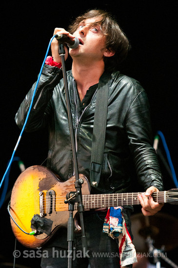 Carl Barat @ FM4 Frequency festival 2011, Green park, St. Pölten (Austria), 18/08 > 20/08/2011 <em>Photo: © Saša Huzjak</em>