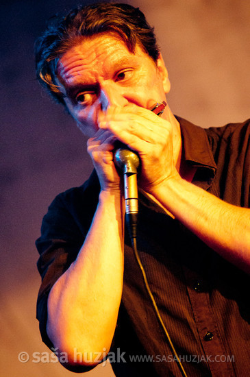 Ljuba Đorđević @ 1. Blues Harp festival, Cvetličarna, Ljubljana (Slovenia), 03/09/2011 <em>Photo: © Saša Huzjak</em>