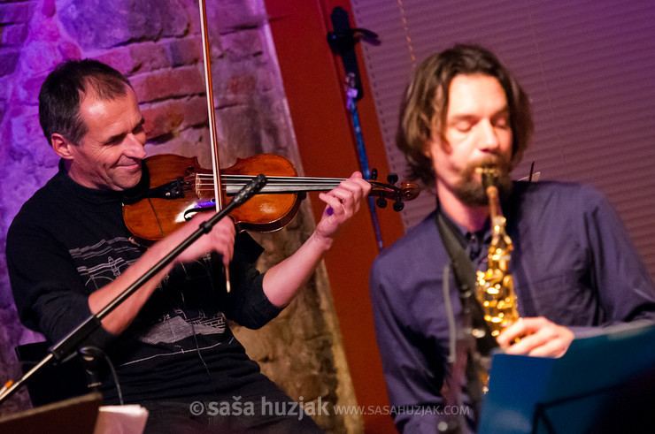 Matjaž Sekne (Bratko Bibič & The Madleys) @ MuziKafe, Ptuj (Slovenia), 02/12/2011 <em>Photo: © Saša Huzjak</em>