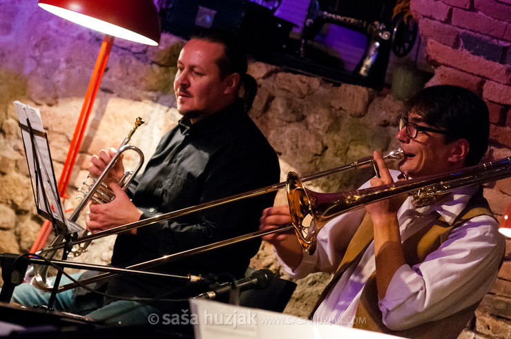 Uroš Polanc, Tibor Kerekeš (Bratko Bibič & The Madleys) @ MuziKafe, Ptuj (Slovenia), 02/12/2011 <em>Photo: © Saša Huzjak</em>