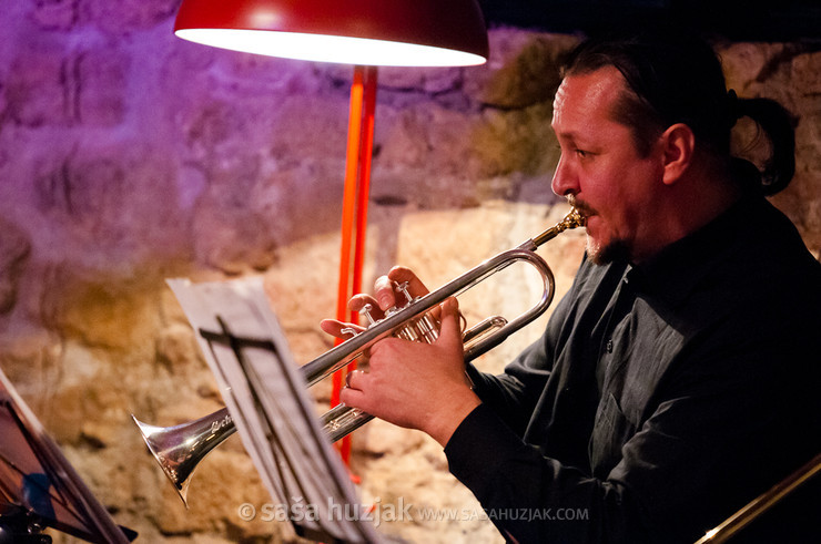 Tibor Kerekeš (Bratko Bibič & The Madleys) @ MuziKafe, Ptuj (Slovenia), 02/12/2011 <em>Photo: © Saša Huzjak</em>