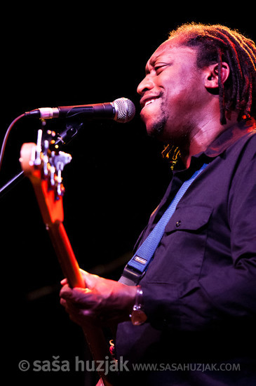 Darryl Jones (Stone Riders) @ Kino Šiška, Ljubljana (Slovenia), 02/02/2012 <em>Photo: © Saša Huzjak</em>