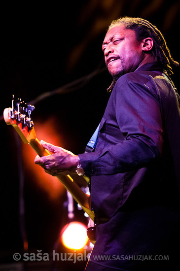 Darryl Jones (Stone Riders) @ Kino Šiška, Ljubljana (Slovenia), 02/02/2012 <em>Photo: © Saša Huzjak</em>