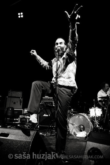 Warren Ellis (Dirty Three) @ Kino Šiška, Ljubljana (Slovenia), 14/11/2012 <em>Photo: © Saša Huzjak</em>