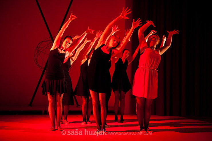 Ideje izpod nove preje - zimska plesna produkcija Plesne izbe Maribor @ Dvorana Union, Maribor (Slovenia), 27/01/2013 <em>Photo: © Saša Huzjak</em>