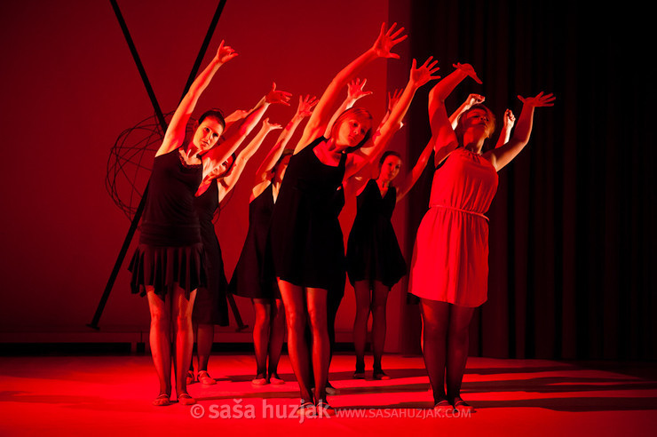 Ideje izpod nove preje - zimska plesna produkcija Plesne izbe Maribor @ Dvorana Union, Maribor (Slovenia), 27/01/2013 <em>Photo: © Saša Huzjak</em>