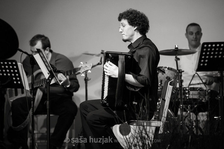 Dominik Cvitanič @ Glasbena in baletna šola Antona Martina Slomška, Maribor (Slovenia), 26/03/2013 <em>Photo: © Saša Huzjak</em>