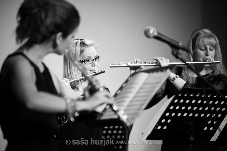 Simona Vake @ Glasbena in baletna šola Antona Martina Slomška, Maribor (Slovenia), 26/03/2013 <em>Photo: © Saša Huzjak</em>