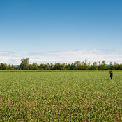 Tomza in the field, filming @ Skejtaj s srcem, Dolga vas - Izola (Slovenia), 20/05 > 26/05/2013 <em>Photo: © Saša Huzjak</em>