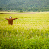 Petko in the field @ Skejtaj s srcem, Dolga vas - Izola (Slovenia), 20/05 > 26/05/2013 <em>Photo: © Saša Huzjak</em>