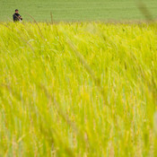 Mylo filming @ Skejtaj s srcem, Dolga vas - Izola (Slovenia), 20/05 > 26/05/2013 <em>Photo: © Saša Huzjak</em>