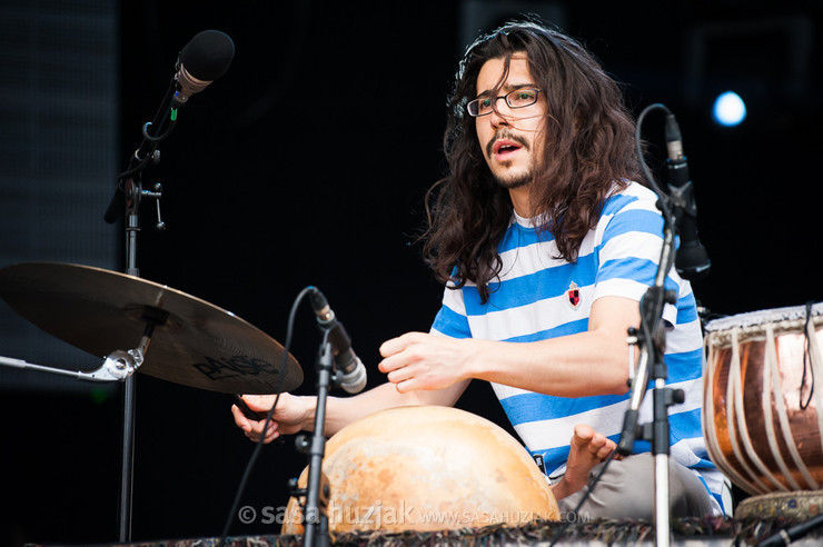 Sam Lee & Friends @ Bažant Pohoda festival, Trenčín (Slovakia), 11/07 > 13/07/2013 <em>Photo: © Saša Huzjak</em>