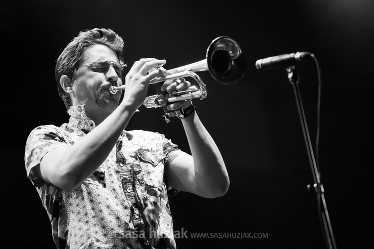 (Tony Allen) @ Bažant Pohoda festival, Trenčín (Slovakia), 11/07 > 13/07/2013 <em>Photo: © Saša Huzjak</em>