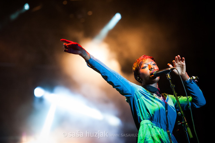 Szjerdene (Bonobo) @ Bažant Pohoda festival, Trenčín (Slovakia), 11/07 > 13/07/2013 <em>Photo: © Saša Huzjak</em>