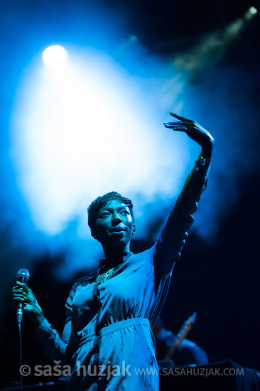 Szjerdene (Bonobo) @ Bažant Pohoda festival, Trenčín (Slovakia), 11/07 > 13/07/2013 <em>Photo: © Saša Huzjak</em>