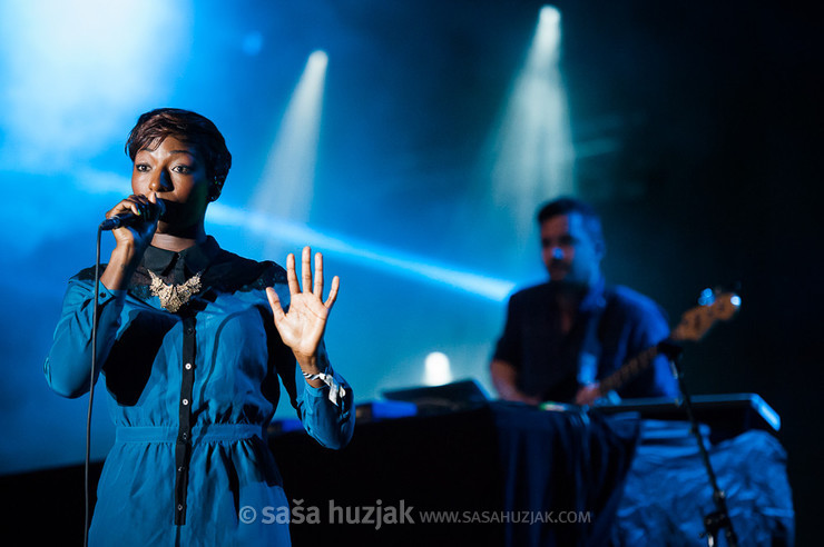 Szjerdene (Bonobo) @ Bažant Pohoda festival, Trenčín (Slovakia), 11/07 > 13/07/2013 <em>Photo: © Saša Huzjak</em>