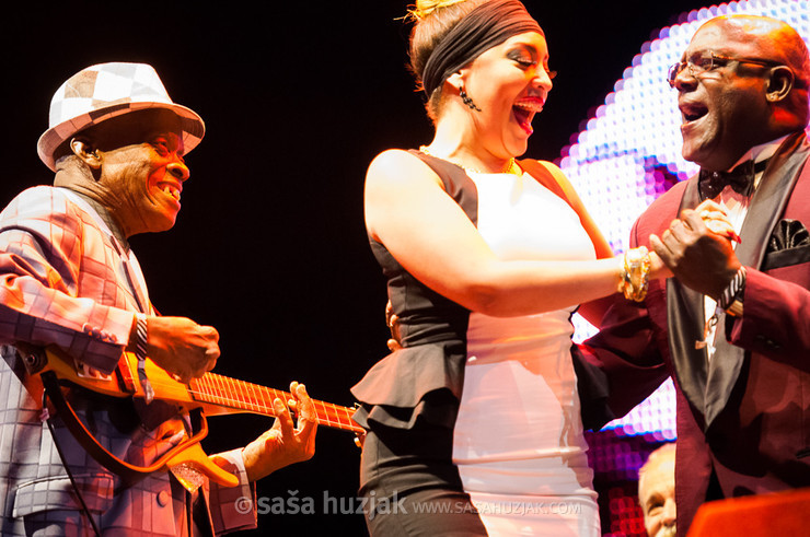 Orquesta Buena Vista Social Club @ Bažant Pohoda festival, Trenčín (Slovakia), 11/07 > 13/07/2013 <em>Photo: © Saša Huzjak</em>