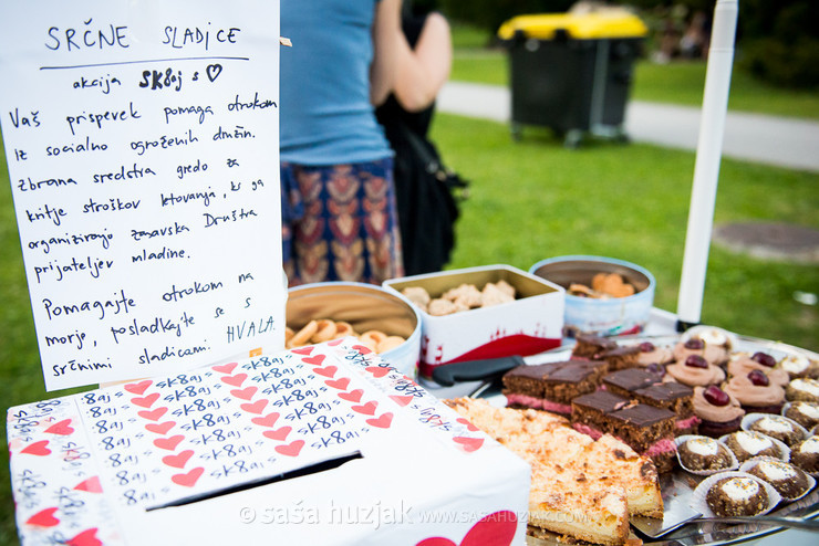 Skejtaj s srcem 2014 (Skate with your heart) humanitarian project @ Skejtaj s srcem 2014, Zasavje (Slovenia), 24/05/2014 <em>Photo: © Saša Huzjak</em>