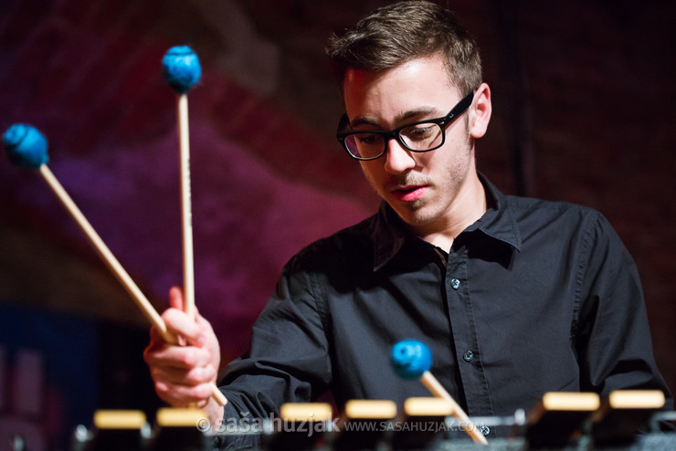 Vid Jamnik (Vid Jamnik Quartet) @ Festival Lent, Maribor (Slovenia), 20/06 > 05/07/2014 <em>Photo: © Saša Huzjak</em>