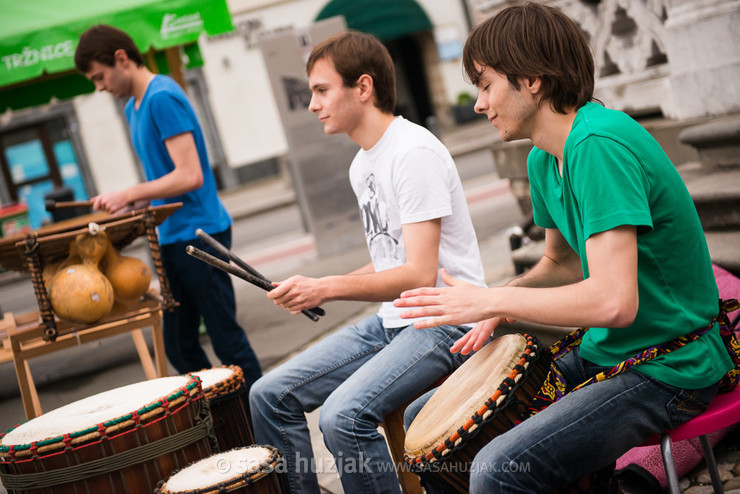 African dance workshop by Dalanda Diallo @ Festival Lent, Maribor (Slovenia), 20/06 > 05/07/2014 <em>Photo: © Saša Huzjak</em>