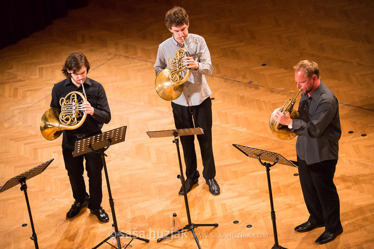 Ansambel rogov HoRORn @ Festival Lent, Maribor (Slovenia), 20/06 > 05/07/2014 <em>Photo: © Saša Huzjak</em>