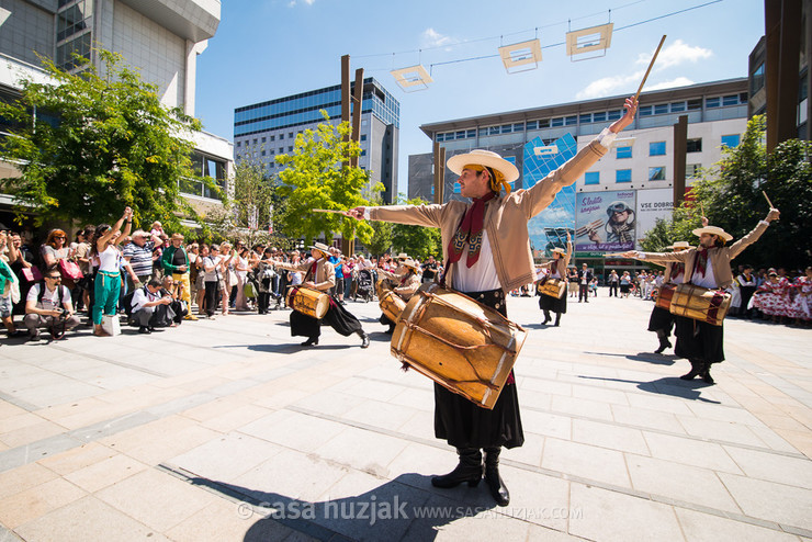 Ballet Folklórico Latinoamericano Santiago del Estero (Santiago del Estero, Argentina) @ Festival Lent, Maribor (Slovenia), 20/06 > 05/07/2014 <em>Photo: © Saša Huzjak</em>