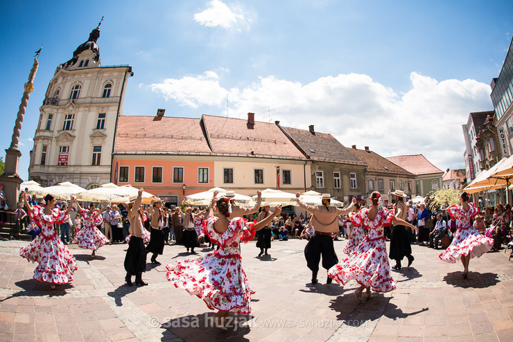 Ballet Folklórico Latinoamericano Santiago del Estero (Santiago del Estero, Argentina) @ Festival Lent, Maribor (Slovenia), 20/06 > 05/07/2014 <em>Photo: © Saša Huzjak</em>