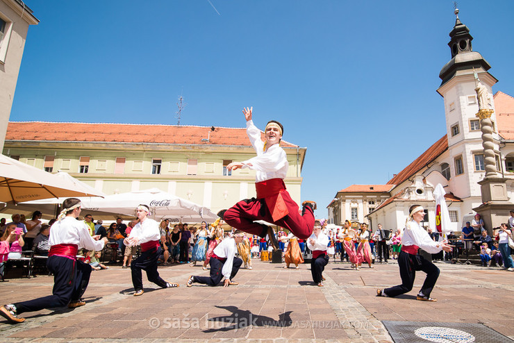 AKUD Ivo Lola Ribar (Belgrade, Serbia) @ Festival Lent, Maribor (Slovenia), 20/06 > 05/07/2014 <em>Photo: © Saša Huzjak</em>