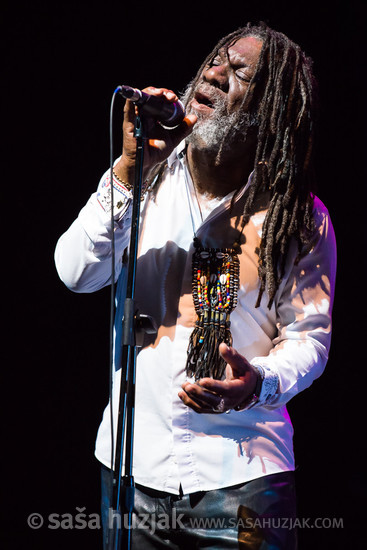 Winston McAnuff (Winston McAnuff & Fixi) @ Festival Lent, Maribor (Slovenia), 20/06 > 05/07/2014 <em>Photo: © Saša Huzjak</em>