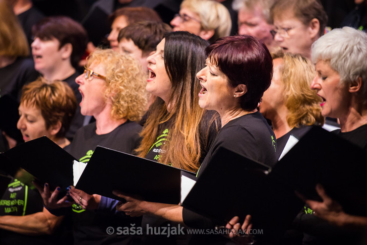 Mosaic of History: 50 years of KUD Študent @ Festival Lent, Maribor (Slovenia), 20/06 > 05/07/2014 <em>Photo: © Saša Huzjak</em>