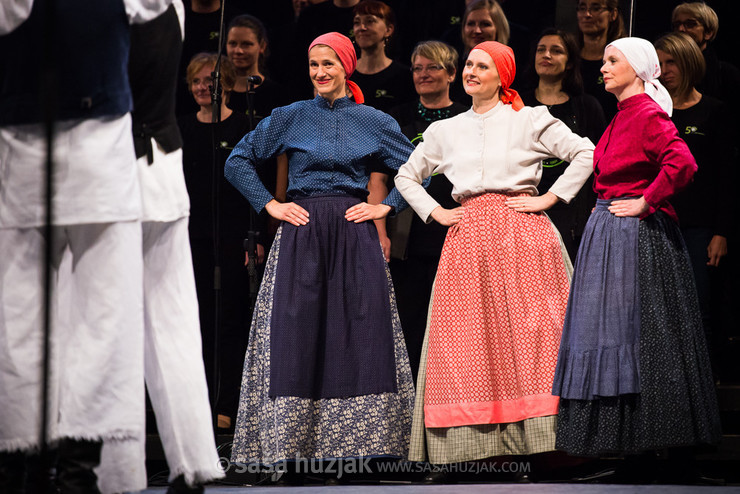 Mosaic of History: 50 years of KUD Študent @ Festival Lent, Maribor (Slovenia), 20/06 > 05/07/2014 <em>Photo: © Saša Huzjak</em>