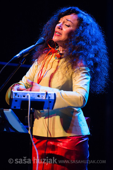 Maria João (Maria João Ogre) @ Festival Lent, Maribor (Slovenia), 20/06 > 05/07/2014 <em>Photo: © Saša Huzjak</em>