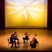 Festival Lent 2014: Classical music @ Festival Lent, Maribor (Slovenia), 20/06 > 05/07/2014 <em>Photo: © Saša Huzjak</em>