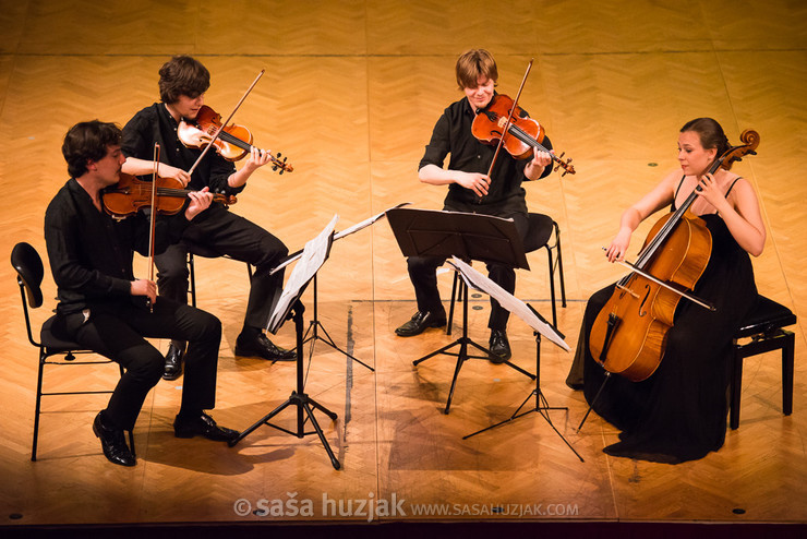 Furiant string quartet @ Festival Lent, Maribor (Slovenia), 20/06 > 05/07/2014 <em>Photo: © Saša Huzjak</em>